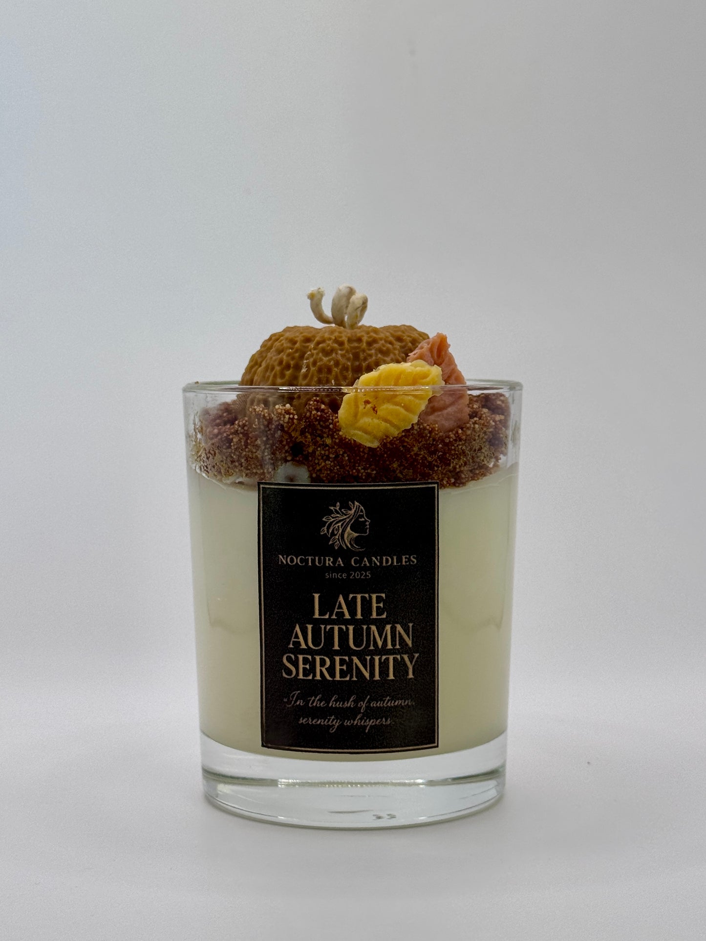 Late Autumn Serenity