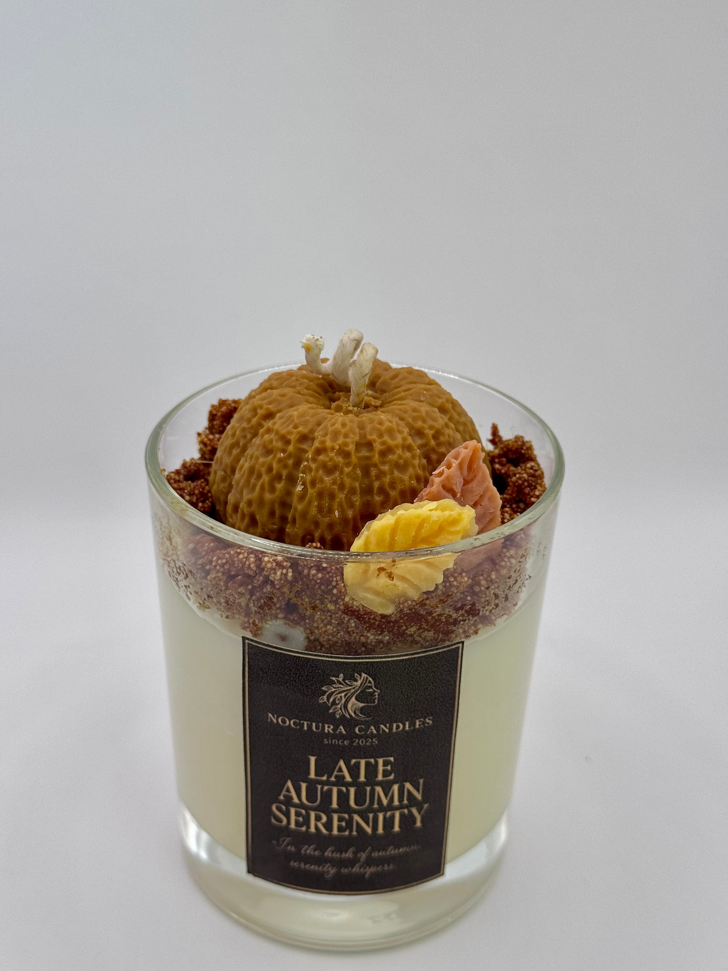 Late Autumn Serenity